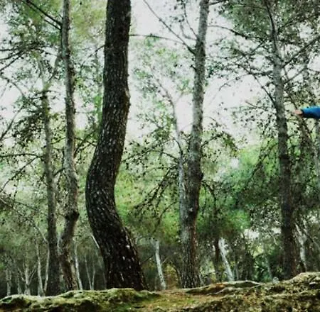 アパート A Estrenar Preciosa Suite-centrico-con Jardin Y Porche