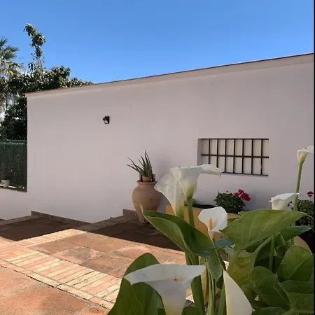 Apartment A Estrenar Preciosa Suite-centrico-con Jardin Y Porche