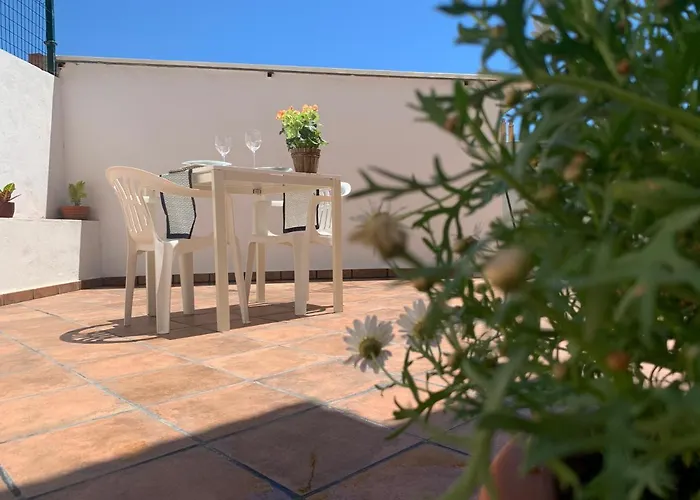 A Estrenar Preciosa Suite-céntrico-con Jardín Y Porche Apartamento *