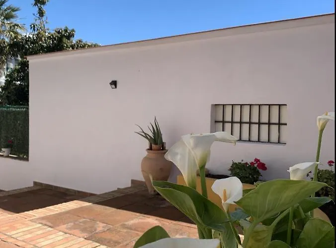 Apartamento A Estrenar Preciosa Suite-céntrico-con Jardín Y Porche