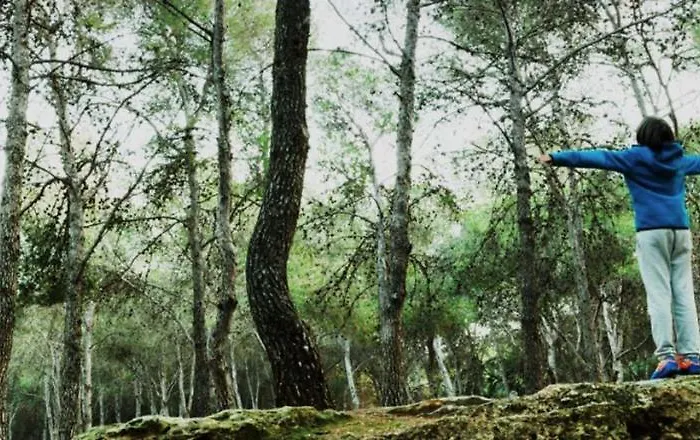 Apartment A Estrenar Preciosa Suite-centrico-con Jardin Y Porche