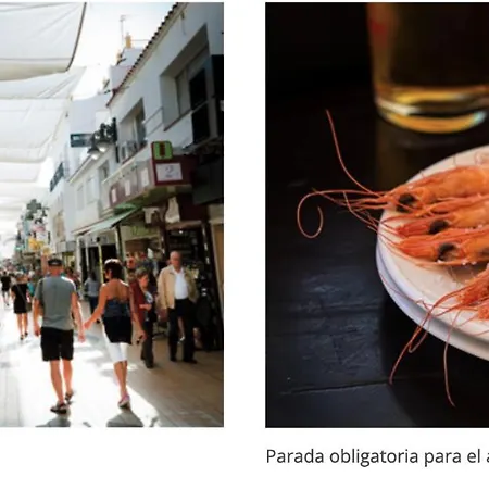 דירה A Estrenar Preciosa Suite-centrico-con Jardin Y Porche