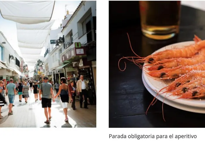 Apartament A Estrenar Preciosa Suite-centrico-con Jardin Y Porche